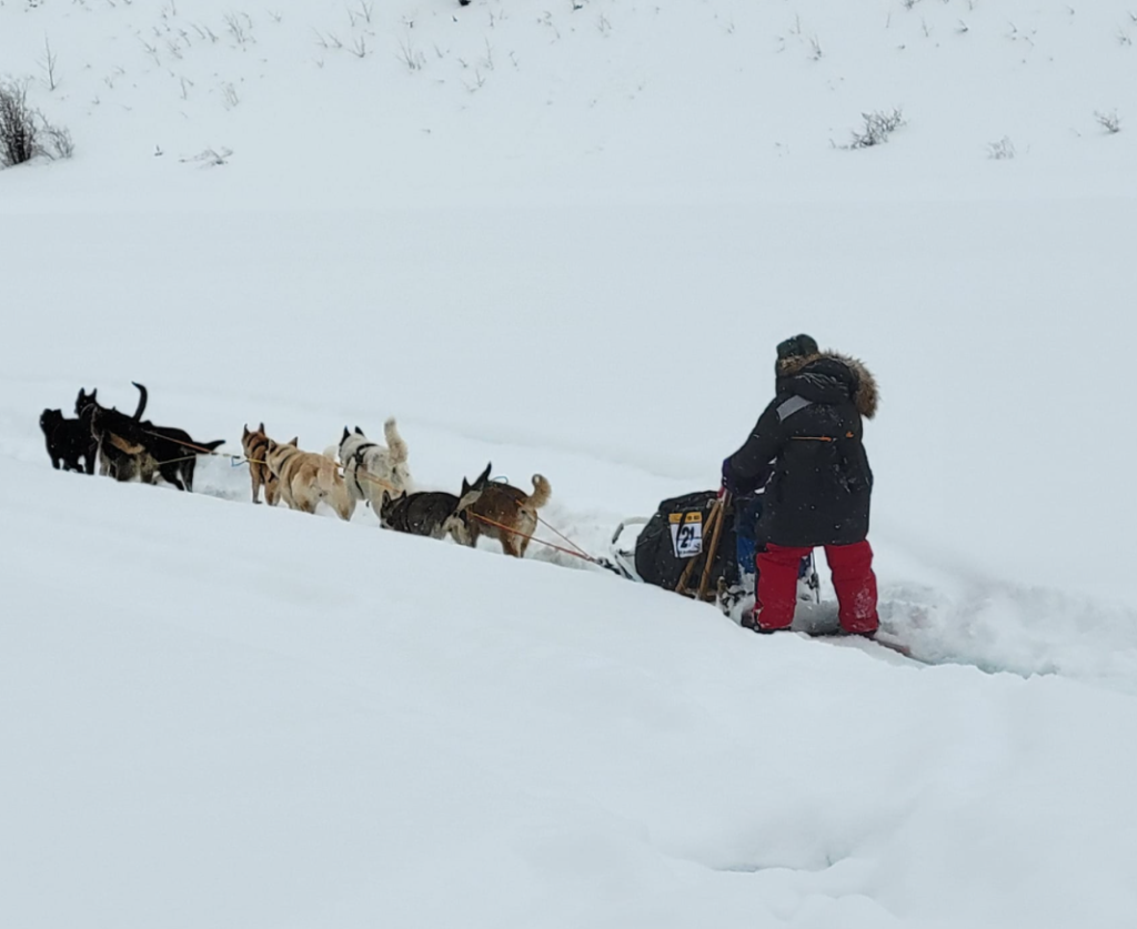 StinkyPup Kennel exiting overflow - Yukon Quest 100 - Photo by Sebastian Schnuelle - 2022