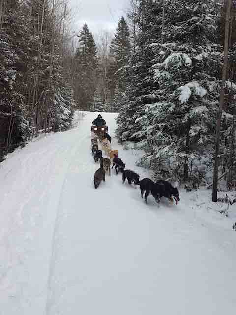 Fixin' to run with 14 sled dogs on an ATV