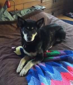 Nicky on the Bed