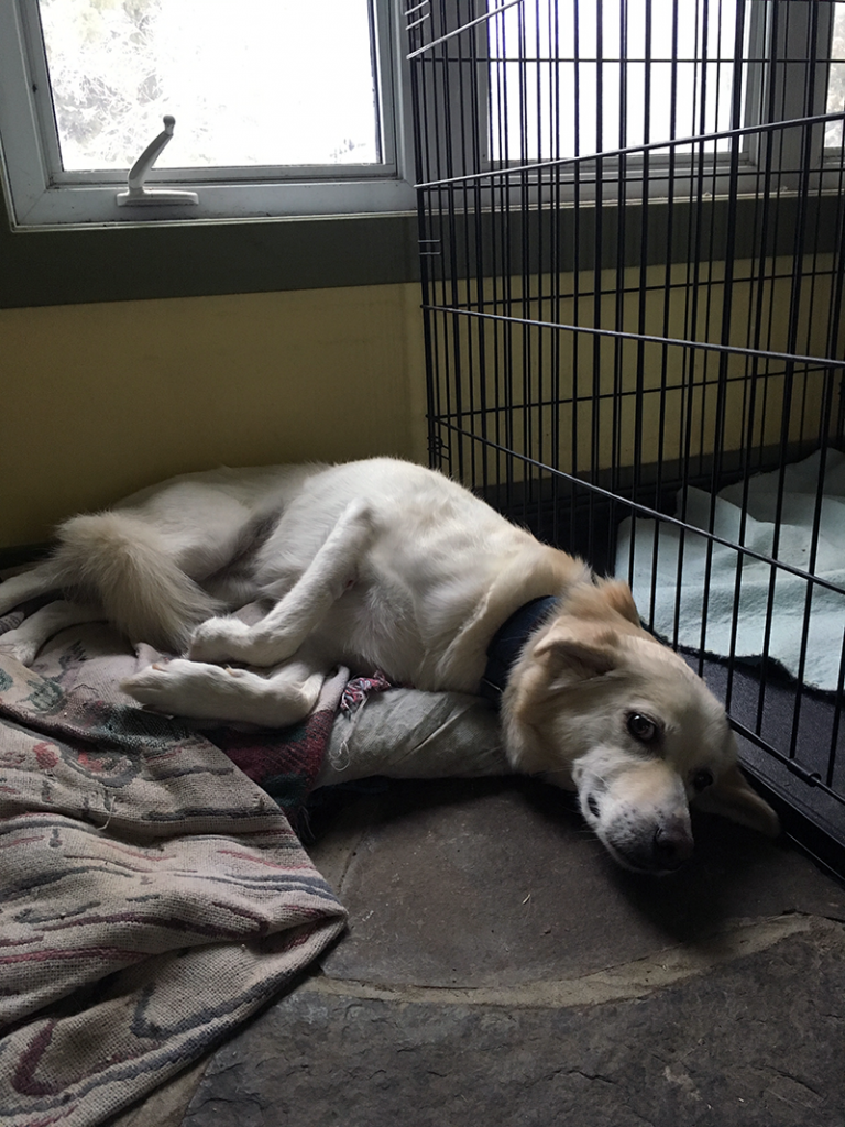 Maya in the Mud Room