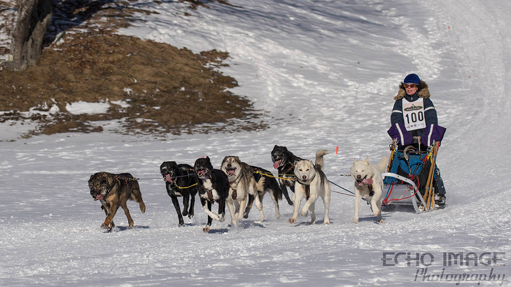 Haliburton Dogsled Derby 2017