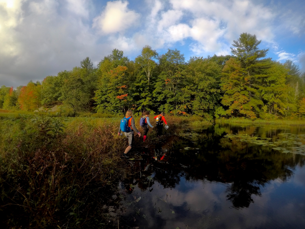 Beaver Dam Walk - Photo by Erin