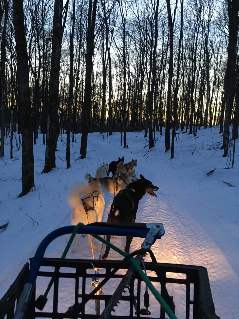 ATV Mushing Jan. 5, 2020 in L'Amable, Ontario