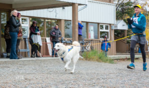 Greg Newby and Moose race to a first-place finish in the 1 mile race.(Morris Prokop/Whitehorse Star)