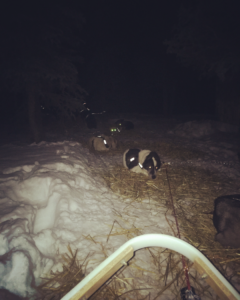 Stinkers camping on the Dawson Overland Trail