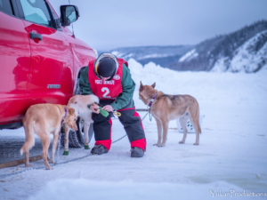 Percy DeWolfe 2022 StinkyPup Kennel bootieing dogs - photo by Yannick Klein - YukanProductions