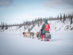 Percy DeWolfe 2022 StinkyPup Kennel- Stinkers on the run - photo by Yannick Klein - YukanProductions