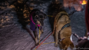 Geri and Timber at the finish line of the Percy DeWolfe 2022 