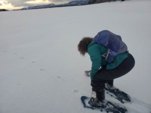 StinkyPup #1 checking the ice on Lake Laberge