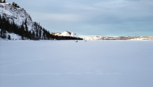 Dog sledding on Lake Laberge, Whitehorse Yukon