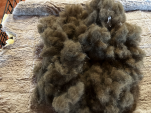 Photo of stuffing from dog bed