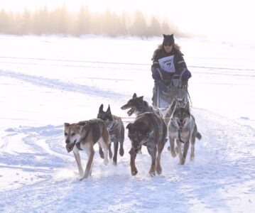 Stinkers on the Run!